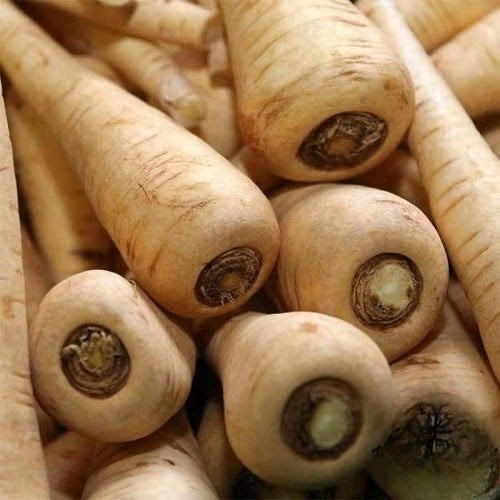 بذور الجزر الأبيض