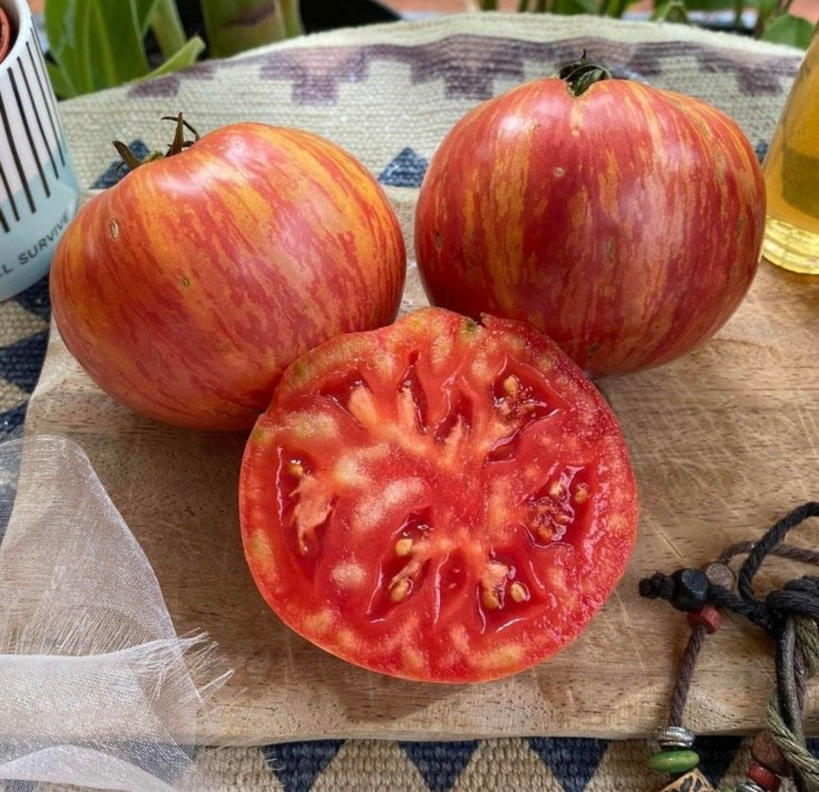 بذور طماط بيق شيف مخطط