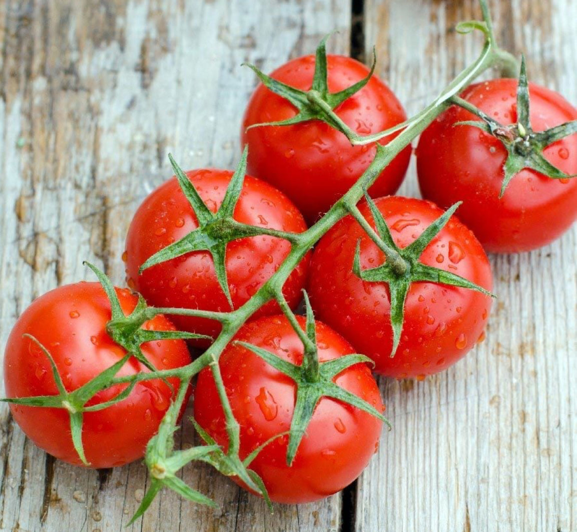 شتلة طماط شيري(شتلة كبيره)