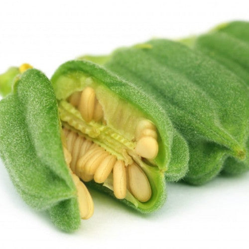 بذور سمسم حساوي