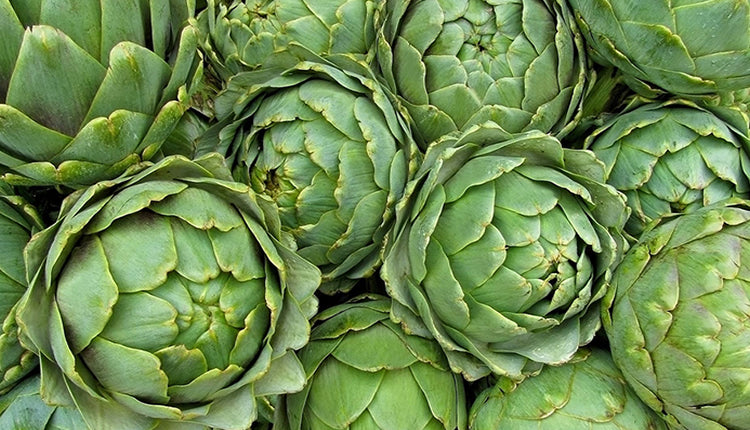 بذور ارض شوكي (خرشوف)