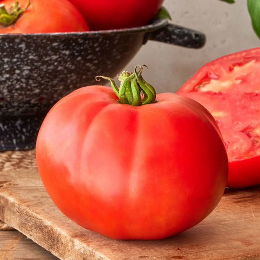 بذور طماط supertom hybrid