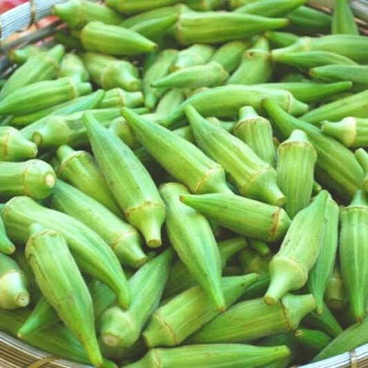 بذور بامية سلطانية