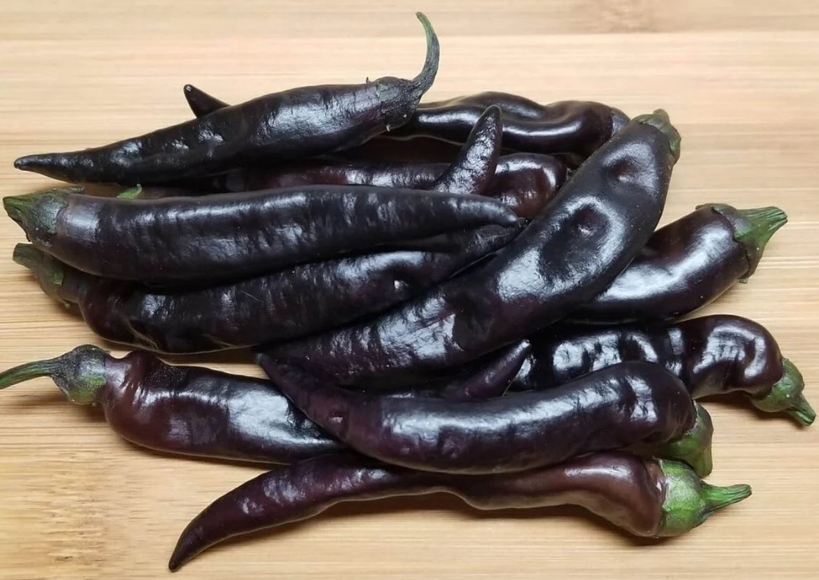 بذور فلفل أسود طويل وحلو