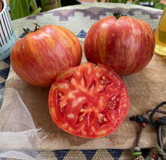 بذور طماط بيق شيف مخطط