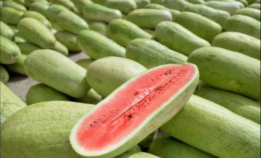 بذور رقي سعودي