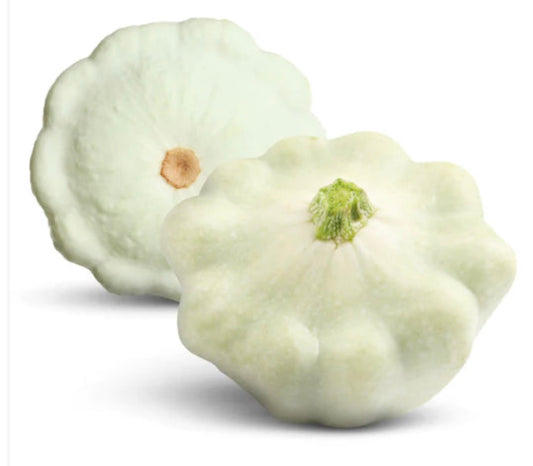 شتلة قرع الفطيره