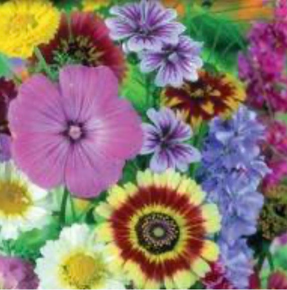 Mixed Flowers Old-Fashioned Garden بذور ورد