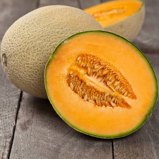 بذور بطيخ جامبو cantaloupe heirloom
