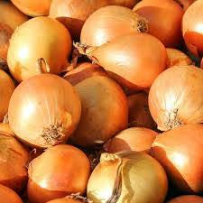 بذور بصل yellow sweet spanish utah
